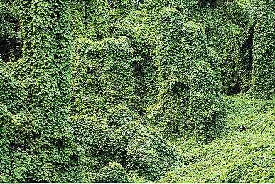 《烤肉模拟器》确定8月31日登陆Switch 与PC版互通